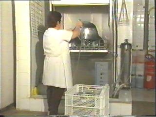 horno (43)  ALIMENTOS MANIPULACION